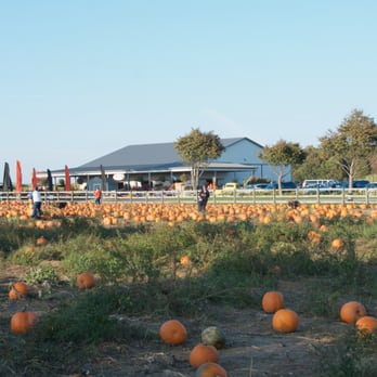 Helen's Greenhouse - Taken October 25, 2014. - Farmers Market Near Me - Aquebogue, New York