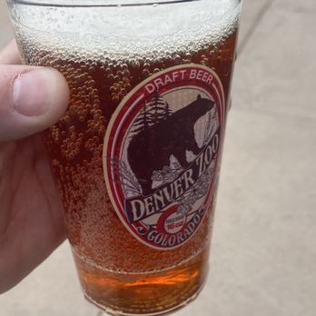 Denver Zoo - THEY HAVE BEER STATIONS!!! - Zoos Near Me - Denver, Colorado