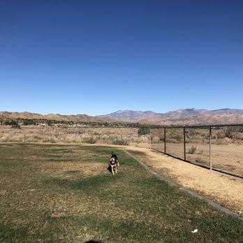 Essig Park - Lovely view and a very happy dog. :-) - Dog Parks Near Me - Yucca Valley, California