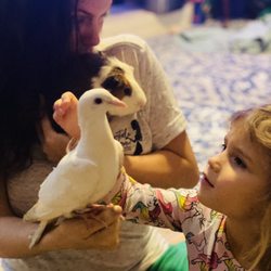 Fairytale Dreamer Princess Parties - Animal encounters offered with #creaturecatcherclay