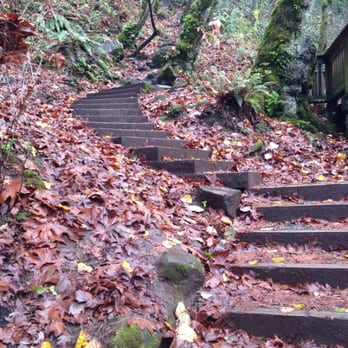 Wahkeena Falls Loop Trail - Hiking Near Me - Troutdale, Oregon Wahkeena Falls Loop Trail - Hiking Near Me - Troutdale, Oregon