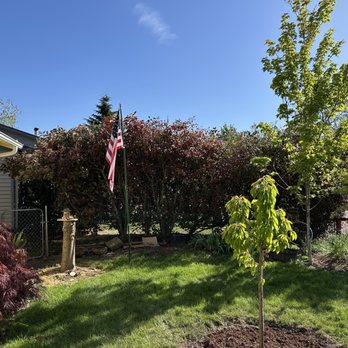 Ash Rock Tree Service - Hedge in background, does that look even?? No it's not - Tree Services Near Me Ash Rock Tree Service - Hedge in background, does that look even?? No it's not - Tree Services Near Me