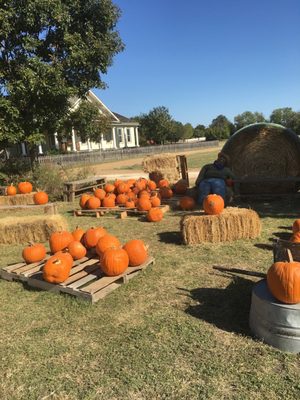 PIONEER FARMS - 72 Photos & 67 Reviews - Museums - 10621 Pioneer Farms PIONEER FARMS - 72 Photos & 67 Reviews - Museums - 10621 Pioneer Farms