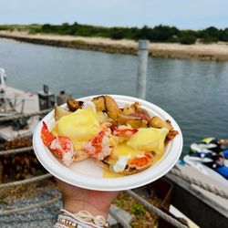 Sesuit Harbor Cafe - Lobster Eggs Benedict