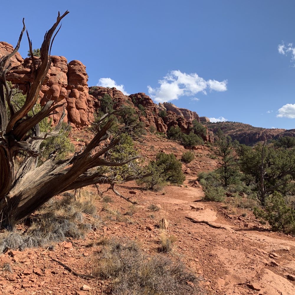 Baldwin Trail - Hiking Near Me - Sedona, Arizona