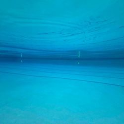 Coastal Property & Pool Services