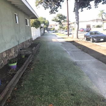 BENPRO - Sprinkler System - Lighting Fixtures & Equipment Near Me