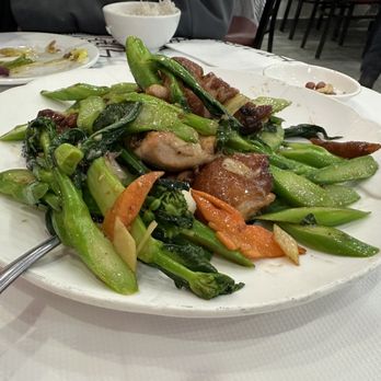 Happy Garden Bayside Restaurant - Chinese Near Me - Bayside, New York Happy Garden Bayside Restaurant - Chinese Near Me - Bayside, New York
