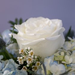 D G Lawn's Flower Shop