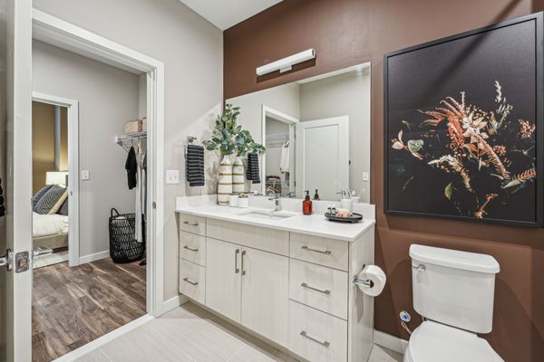 The Quill by Alta by null