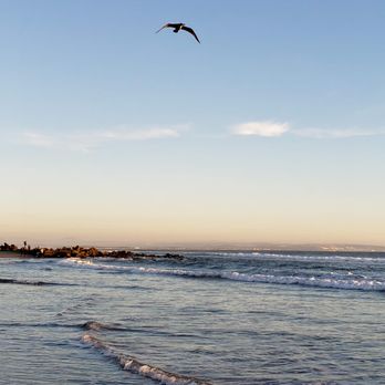 Coronado Center Beach - The ocean - Beaches Near Me - Coronado, California Coronado Center Beach - The ocean - Beaches Near Me - Coronado, California