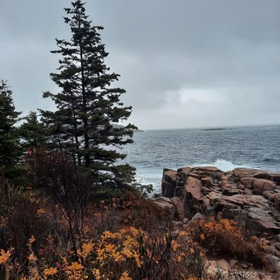 Thunder Hole by null