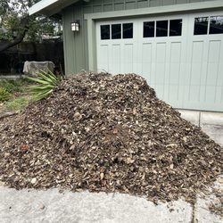 G&G Lawn and Landscape - Before