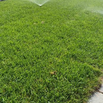 Paramount Landscaping - Landscaping Near Me - San Jose, California Paramount Landscaping - Landscaping Near Me - San Jose, California