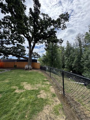 Twirling Bird by null