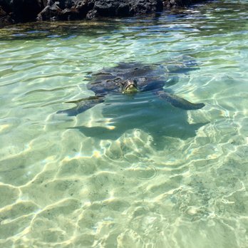 Carlsmith Beach Park - Parks Near Me - Hilo, Hawaii