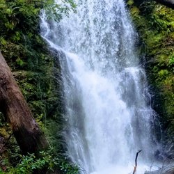 Berry Creek Falls