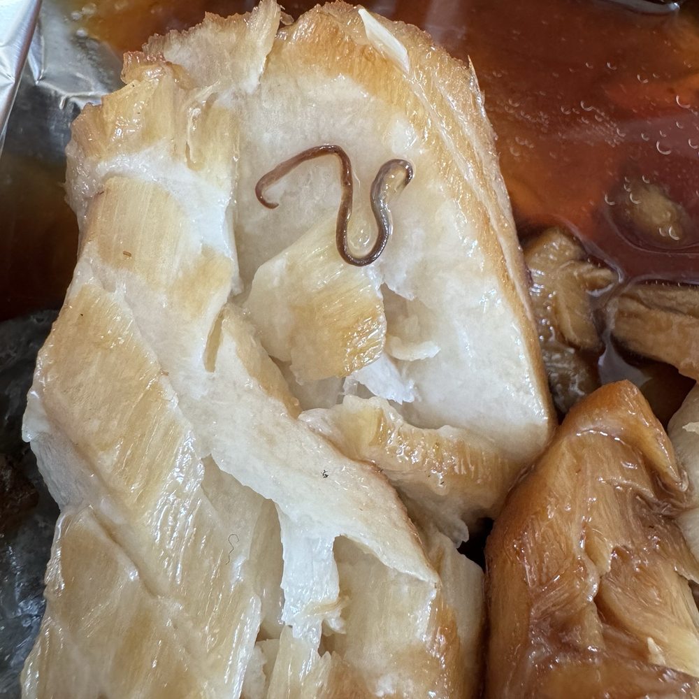 MM by Morimoto - Cod with a nematode worm - extra protein? - Japanese Near Me - Montclair, New Jersey MM by Morimoto - Cod with a nematode worm - extra protein? - Japanese Near Me - Montclair, New Jersey