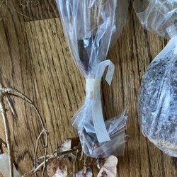 Dried and Dead roots