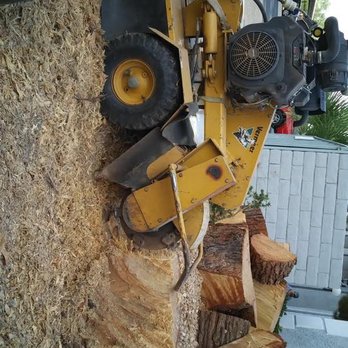 Fast Tree Service - StumpGrinding - Tree Services Near Me Fast Tree Service - StumpGrinding - Tree Services Near Me