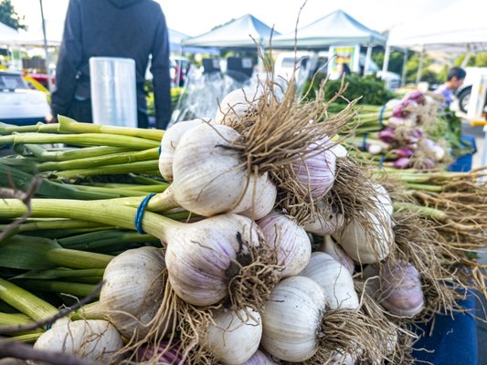 Santa Teresa Farmers' Market by null