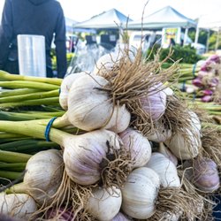 Santa Teresa Farmers' Market
