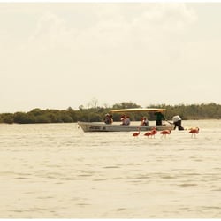 Río Lagartos