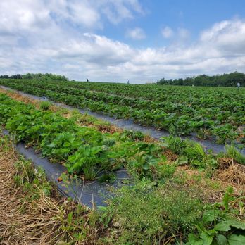 Lakeland Orchard - Attraction Farms Near Me - Scott Township, Pennsylvania