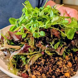 Vaudeville - Quinoa salad
