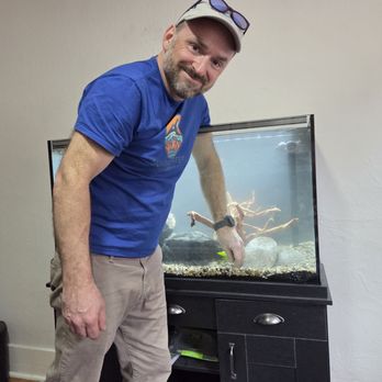 Summit Reef Aquariums - Planting live plants - Aquarium Services Near Me - Aurora, Colorado Summit Reef Aquariums - Planting live plants - Aquarium Services Near Me - Aurora, Colorado