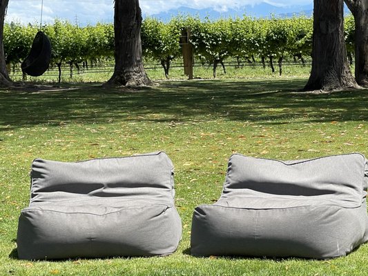 Cloudy Bay Vineyards by null