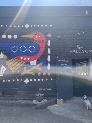 Halcyon Brewing Company by null