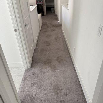 GSL Carpet Cleaning - Pet stains, before pet treatments - Carpet Cleaning Near Me - Indio, California GSL Carpet Cleaning - Pet stains, before pet treatments - Carpet Cleaning Near Me - Indio, California