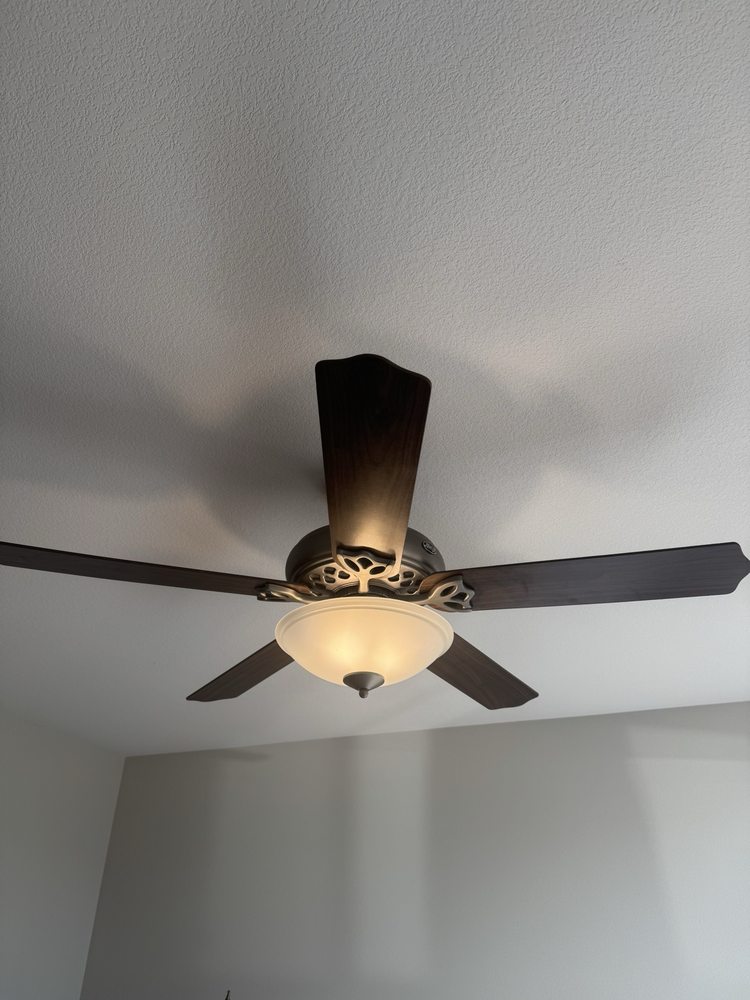 Slide of Wood Electric
