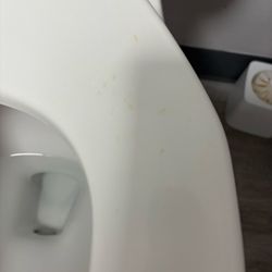 Docs Urgent Care East Haven - Toilets with dry urine.