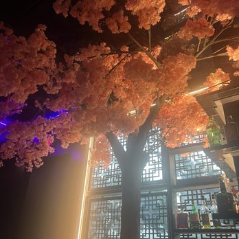 Ten Sushi - Japanese cherry blossom tree - Sushi Bars Near Me - Houston, Texas