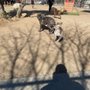 Lake Elsinore Serenity Park