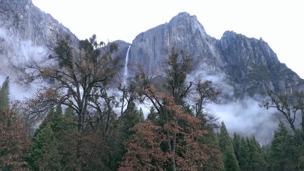 THE RENTAL NETWORK Updated September 2024 5176 Hwy 140, Mariposa