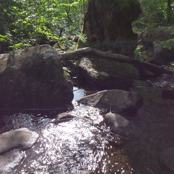 Ramsey Cascades - Tons of water to pass, cross or photograph. - Local Flavor Near Me - Gatlinburg, Tennessee