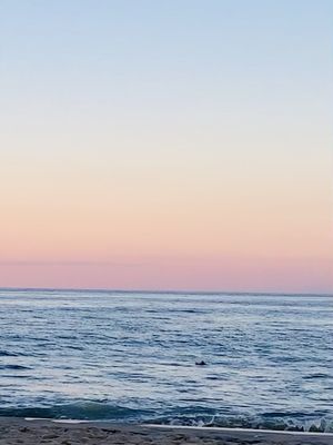 Asbury Park Boardwalk by null