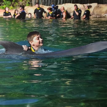 Discovery Cove - My baby boy taking a spin with Roxy! - Amusement Parks Near Me - Orlando, Florida