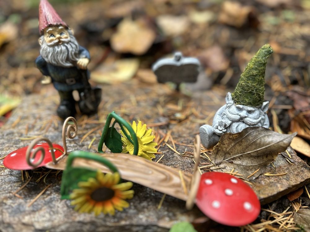 Nordic Northwest  - social services organization in Portland, OR