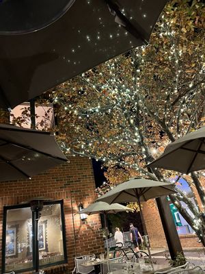 Café Terigo by null