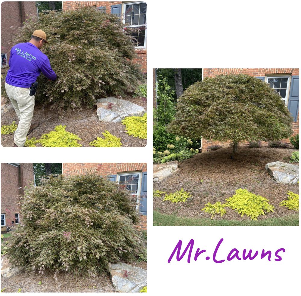 MR LAWNS 12 Photos Kennesaw, Lawn Services Phone Number