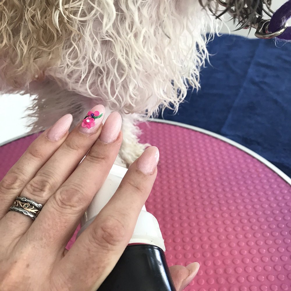 Lotus Bo Pha Nails - Nail Salons Near Me - Union, New Jersey Lotus Bo Pha Nails - Nail Salons Near Me - Union, New Jersey