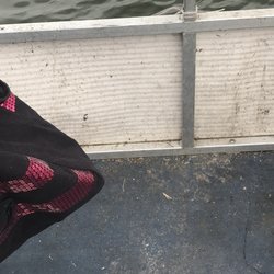 Bald Eagle Boat Rental & Bait