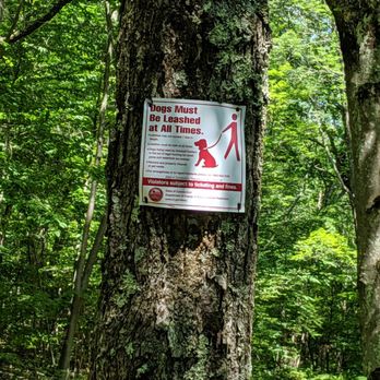 Mohawk State Forest - Parks Near Me - Goshen, Connecticut