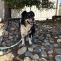 Photo of Cottage Veterinary Care