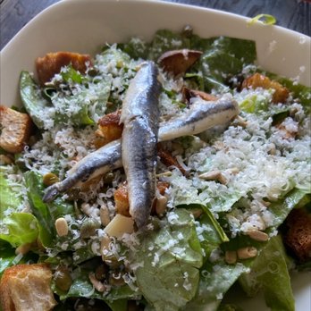 The Temple Kitchen + Bar - Caesar salad - Beer Bar Near Me - Hilo, Hawaii The Temple Kitchen + Bar - Caesar salad - Beer Bar Near Me - Hilo, Hawaii