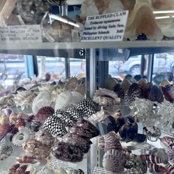 The Shell Shop - Arts & Crafts Near Me - Morro Bay, California